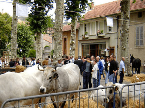 Foire agricole du Mas-d'Azil en Ariège dans les Pyrénées