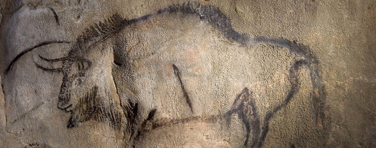 La peinture pariétale d'un bison dans la grotte de Niaux, à proximité du terrain de camping 3 étoiles avec piscine Le Petit Pyrénéen en Ariège dans les Pyrénées